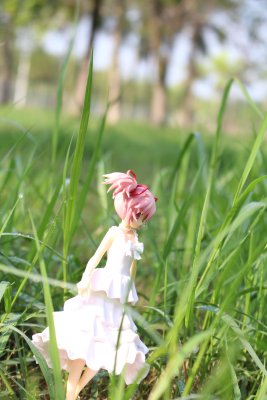 剧场版 魔法少女小圆 起始的物语 鹿目圆香-白色连衣裙ver.