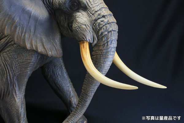 メガソフビアドバンス MSA-007 非洲象