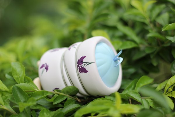 粘土人 #195 电波女与青春男 艾莉欧