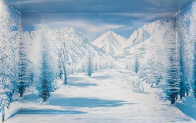 粘土人#570 初音未来 雪未来 Snow Owl