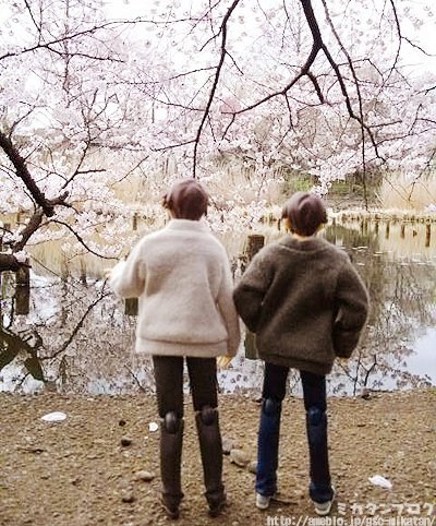 figma#007 凉宫春日的忧郁 古泉一树 校服