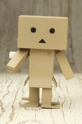四叶妹妹 ToKoToKo DANBOARD