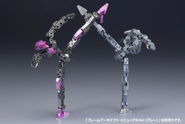骨装机兵 Frame Architect TYPE-001〈枪色〉：RE2