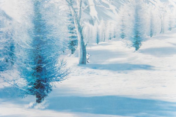 粘土人#570 初音未来 雪未来 Snow Owl