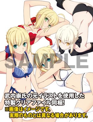 DreamTech 内衣Style Fate Saber&Saber Alter&Saber Extra&Saber Lily