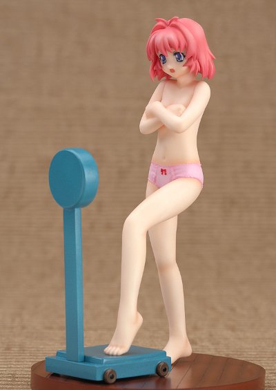 拜托了双子星 宫藤深衣奈 Collect800 Please! Hot spring Collection 