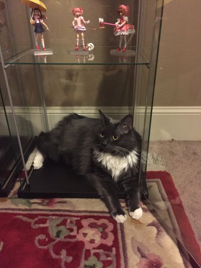 figma 化物語 八九寺真宵