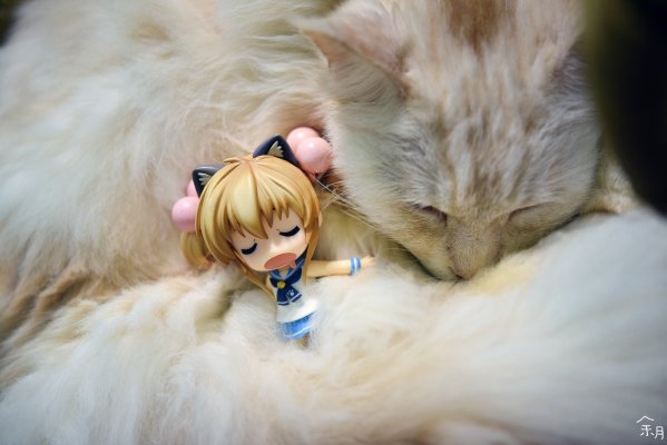 粘土人 #060 萝莉的时间 九重凛