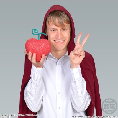  2 海贼王 手术果实