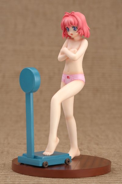 拜托了双子星 宫藤深衣奈 Collect800 Please! Hot spring Collection 