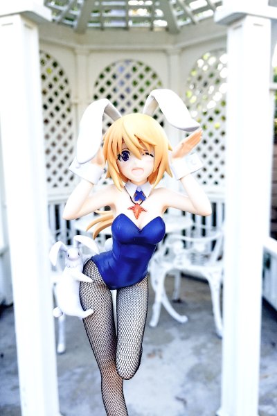 4-Leaves IS〈无限斯特拉托斯〉 夏洛特・迪诺亚－兔女郎－