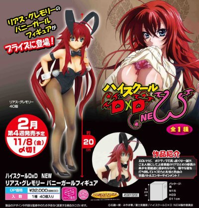 特等奖  恶魔高中D×D HERO 莉雅丝·吉蒙里 兔女郎