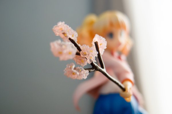 黄金拼图 爱丽丝·卡塔雷特