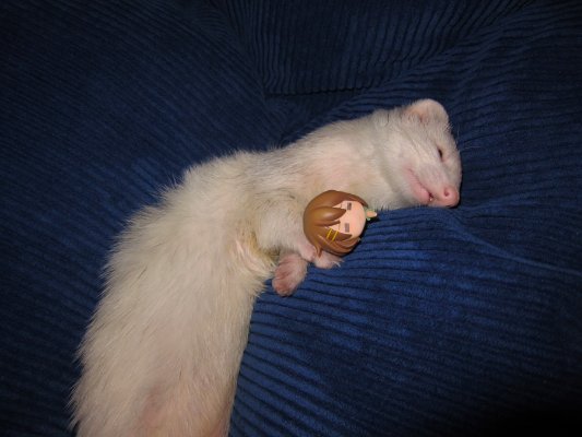 轻音少女！ 平泽忧