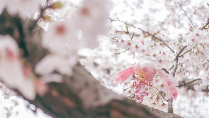 粘土人 #274 樱初音 樱未来