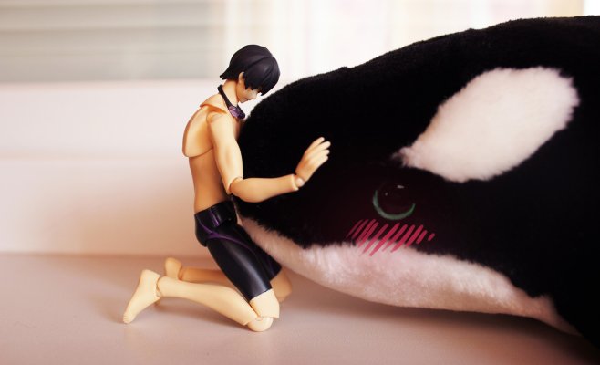 figma #SP-52 Free! 七瀬遥 