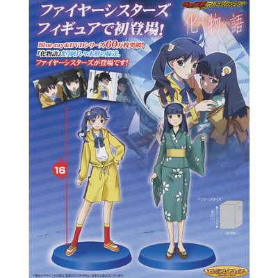 化物语 阿良々木火怜 