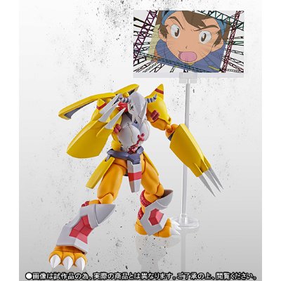 S.H.Figuarts  战斗暴龙兽 《数码宝贝 我们的战争游戏》