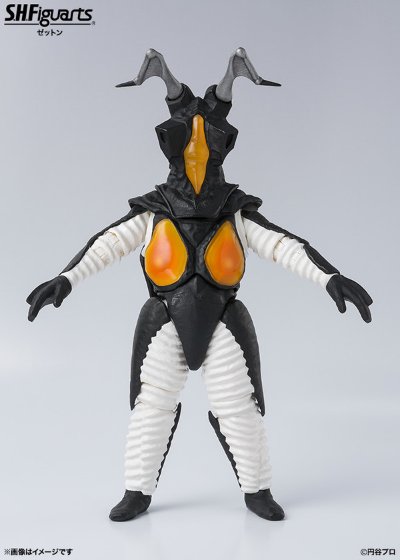 S.H.Figuarts   芝顿