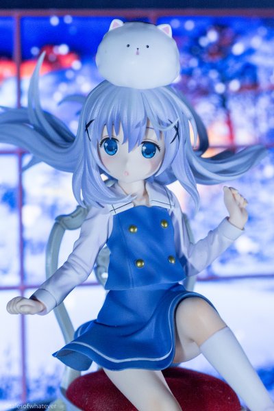 请问您今天要来点兔子吗？？ 智乃&提比