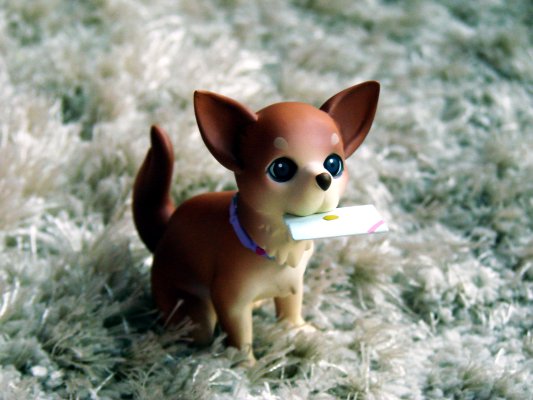 偶像大师 三浦梓 运命的瞬间