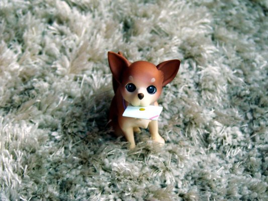 偶像大师 三浦梓 运命的瞬间