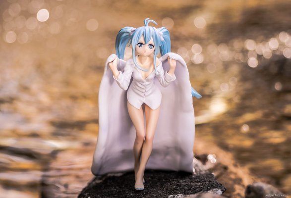 プレミアムプライズ 电波女与青春男 藤和艾莉欧