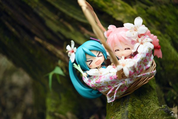 粘土人#500 樱花未来 在日本盛开