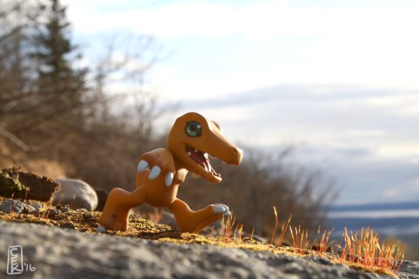 デジコレ デジタルモンスター デジコレ DATA1 数码暴龙大冒险 アグモン