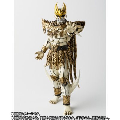 S.H.Figuarts(真骨雕制法) 恩·达古巴·灾巴