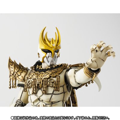 S.H.Figuarts(真骨雕制法) 恩·达古巴·灾巴