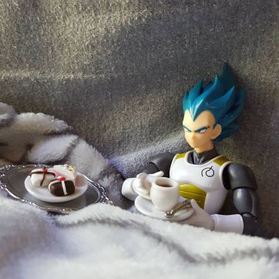 S.H.Figuarts 超级赛亚人之神超级赛亚人贝吉塔