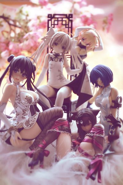 猫星球 猫和椅子