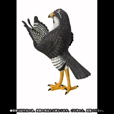 FiguartsZERO 海贼王 妮可・罗宾 Artist Special 