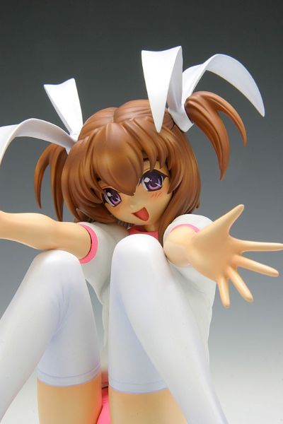 DreamTech Pia♥キャロットへ阳子そ!!3 爱沢友美 Gym Uniform Ver. (Pink Color) Limited 