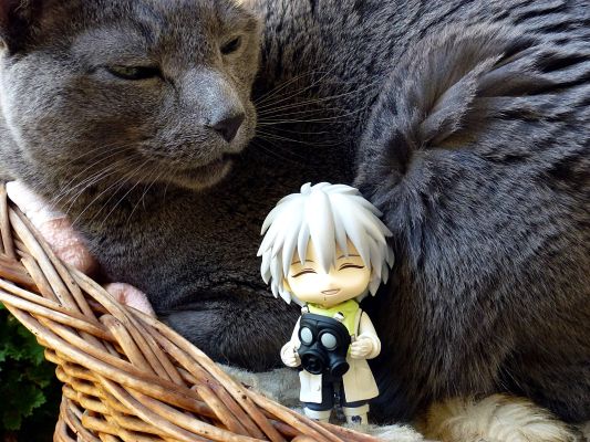 粘土人#597 戏剧性谋杀 库利亚