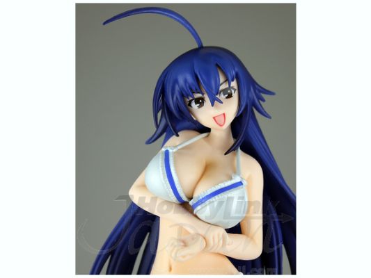 PM フィギュア めだかボックス 黒神めだか 泳装ver. 