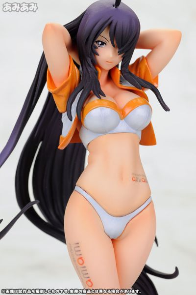 一骑当千 Xtreme Xecutor 関羽云长 amiami版 Race Queen 