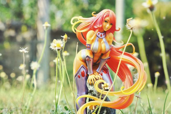 DC COMICS美少女 星火