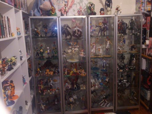 G.E.M. 数码宝贝 天女兽 与 八神光