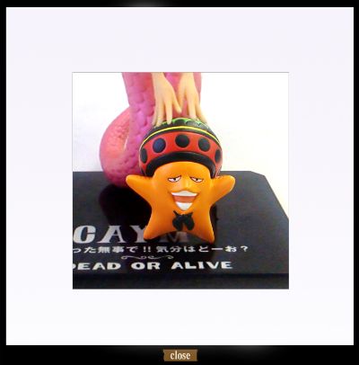 FiguartsZERO 海贼王 海咪&パッパグ 