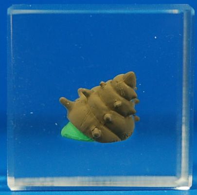 クリスタルモンスターズ CUBEタイプ 勇者斗恶龙 スライムつむり 