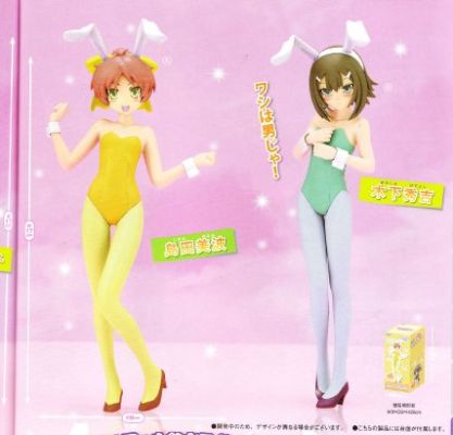 Extra Figure 笨蛋测试召唤兽 木下秀吉 Bunny ver. 