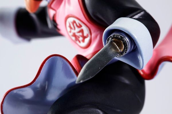 スカルチャーズ 龙珠 タオ准教授はパイパイ 