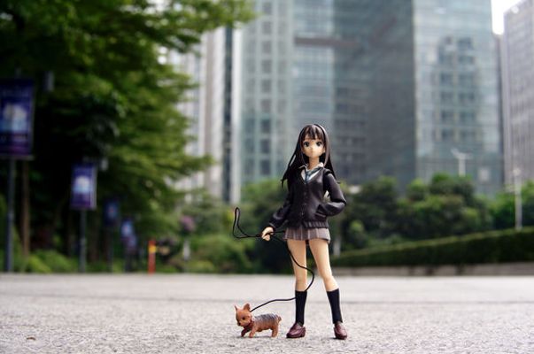 figma 偶像大师 灰姑娘女孩 渋谷凛 （汪达ーフェスティバル2013冬限定）