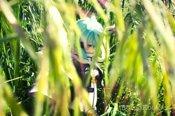 刀剑神域 第二季 诗乃