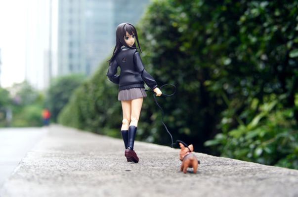 figma 偶像大师 灰姑娘女孩 渋谷凛 （汪达ーフェスティバル2013冬限定）