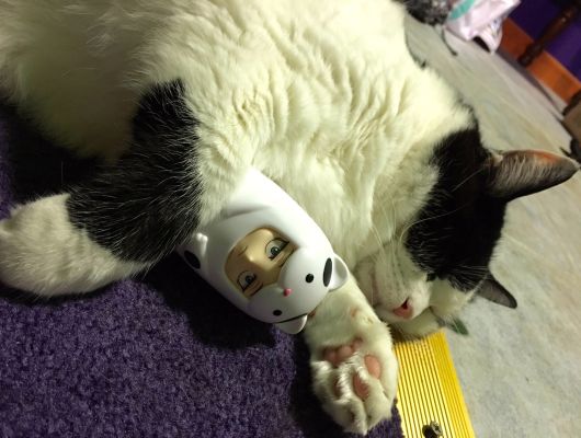 粘土人  利维尔