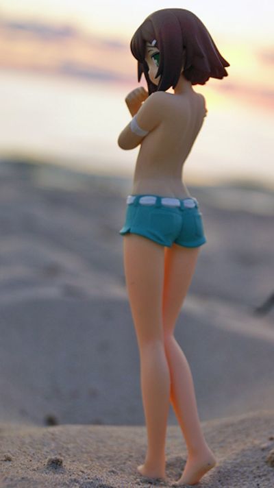 Extra Figure 笨蛋测试召唤兽 木下秀吉 Poolside ver. 