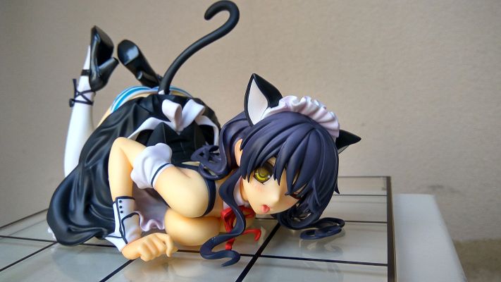 CAT LAP MILK